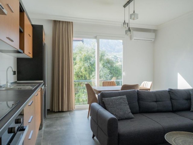 1+1 for rent in Kyrenia Edremit area