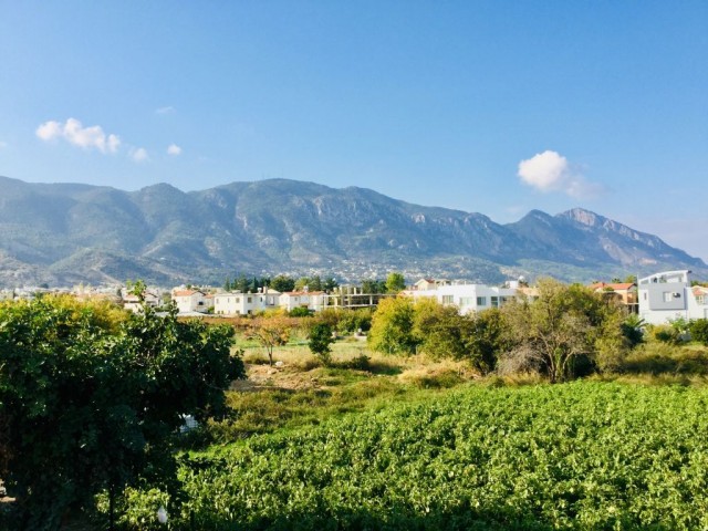 Eben Kaufen in Alsancak, Kyrenia