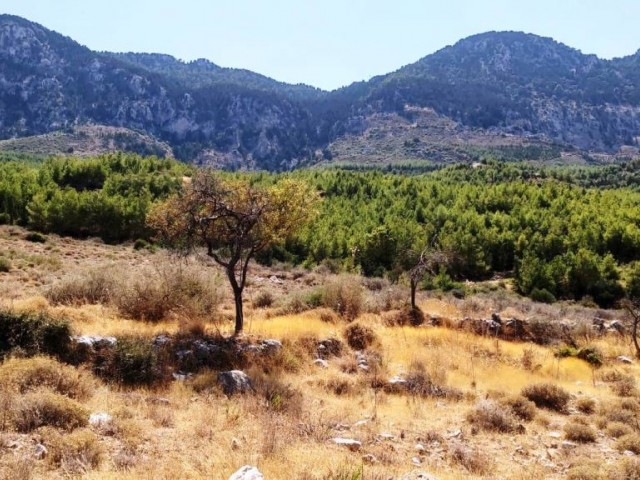 Land For Sale in Kyrenia