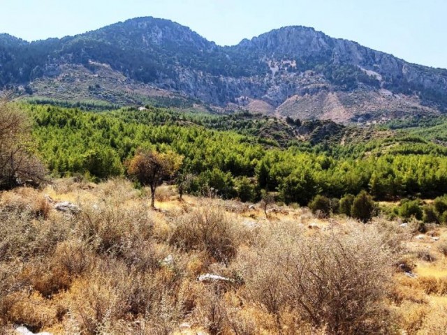 Land For Sale in Kyrenia