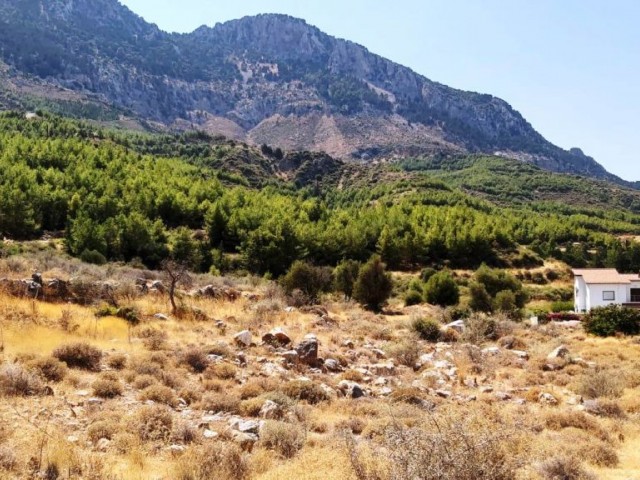 Land For Sale in Kyrenia