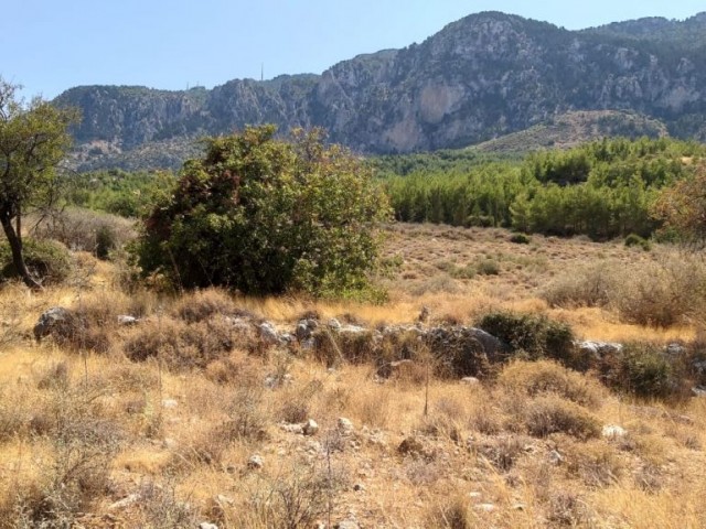 Land For Sale in Kyrenia