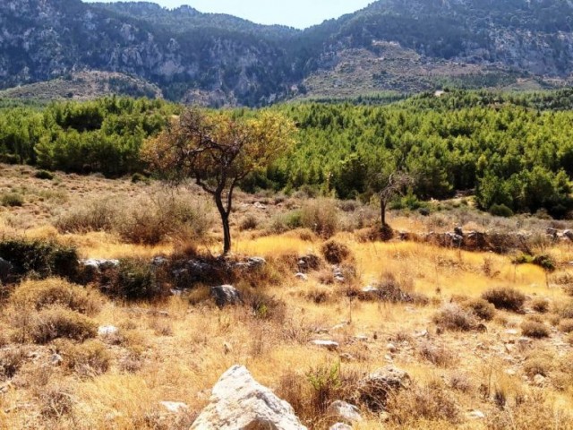 Land For Sale in Kyrenia