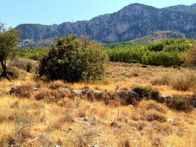 Land For Sale in Kyrenia