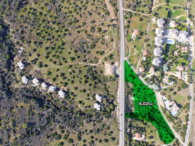 Land For Sale – Excellent Investment Opportunity