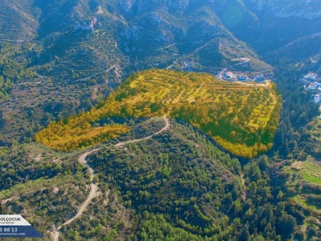 منطقه مسکونی برای فروش in Bellapais, گیرنه