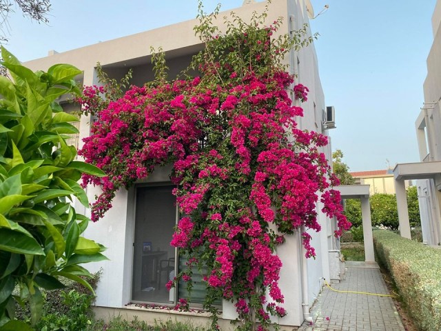 Halb freistehend Mieten in Alsancak, Kyrenia