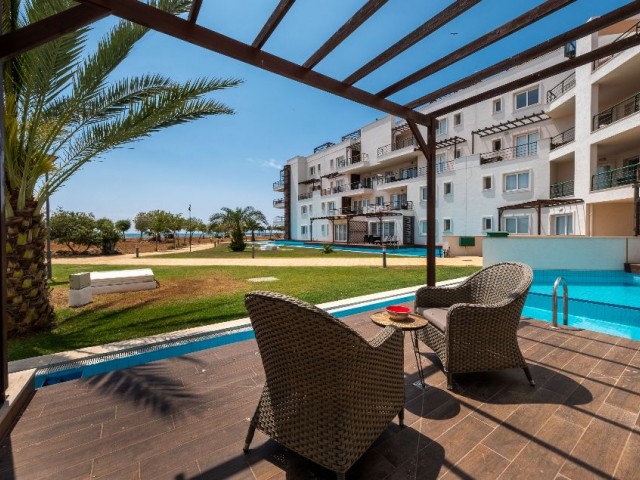 3 + 1 APARTMENTS WITH PRIVATE POOL FOR SALE NORTH CYPRUS BAFRA