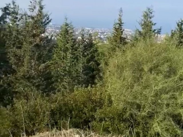 ZYPERN KYRENIA CHATALKÖY 12 HEKTAR 1 EVLEK (16.391M2) GELEGENHEIT LAND MIT BLICK AUF DIE BERGE UND DAS MEER ** 