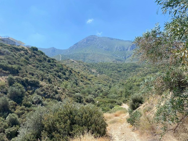 منطقه مسکونی برای فروش in Bellapais, گیرنه