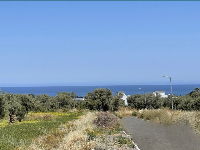 DER EINZIGE AUTORISIERTE ZYPERN KYRENIA OZANKÖY IN DER TÜRKISCHEN KOKANLI FUL KESMEZ MEERBLICK GELEGENHEIT GRUNDSTÜCKE ** 