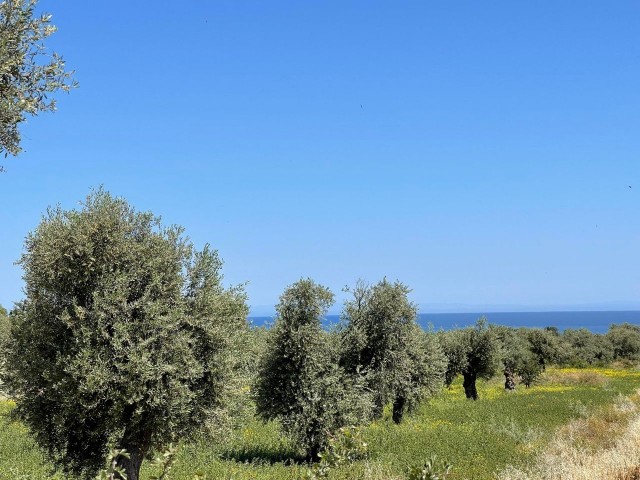 749 M2 Grundstück mit Meerblick auf Zypern Kyrenia OZANKÖY de FUL ** 