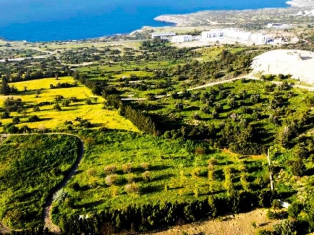 منطقه مسکونی برای فروش in Esentepe, گیرنه