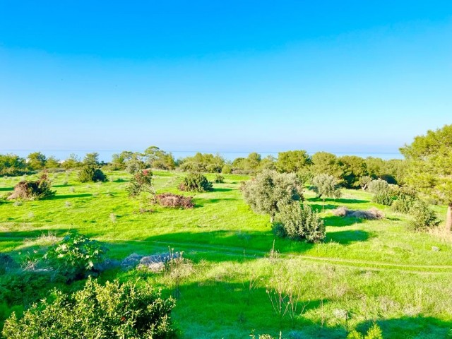 3+1 Wohnung mit Meerblick zum Verkauf im Kyrenia Nature Complex