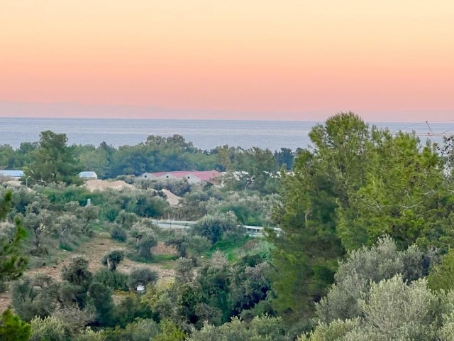 615 m2 großes türkisches Cob-Grundstück mit Meerblick im Girne Olive Garden