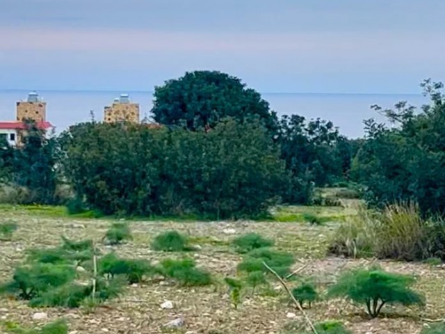 2 Hektar Land für 2 Häuser in einer herrlichen Lage in Tatlısu