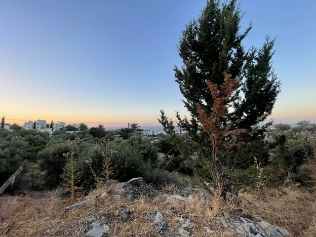 Voller Meerblick 90% Zonierung Gelegenheit Land in Alsancak, Kyrenia, Zypern