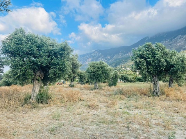 قبرس Kyrenia Karsiyaka da Turkish Cobble's Main Street نزدیک به 22. 5 هکتار از زمین های باشکوه