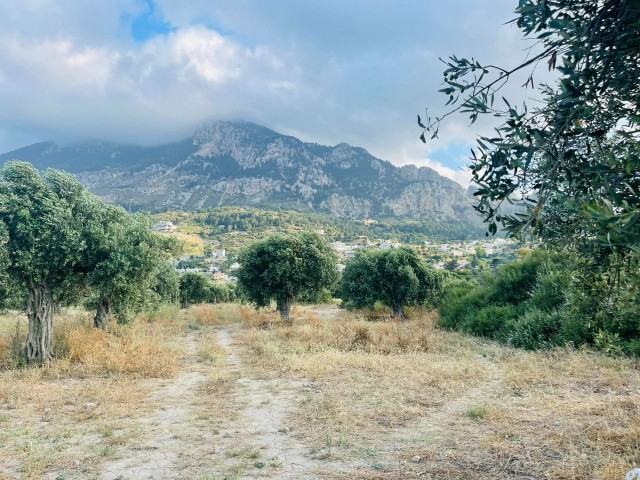 قبرس Kyrenia Karsiyaka da Turkish Cobble's Main Street نزدیک به 22. 5 هکتار از زمین های باشکوه