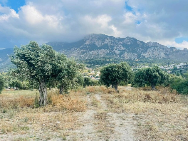 قبرس Kyrenia Karsiyaka da Turkish Cobble's Main Street نزدیک به 22. 5 هکتار از زمین های باشکوه