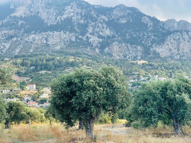 Кипр Кирения Каршияка 22. 5 акров великолепной земли рядом с главной улицей с турецким кочаном
