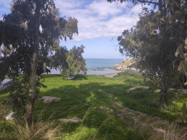 3+1 двухквартирные виллы в пешей доступности от моря в Кирении Лапта, Кипр