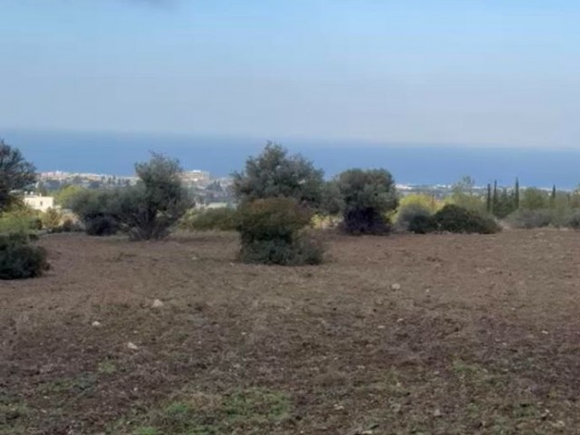 11 Acres of Land (14929 m2) with Full Sea View in Çatalköy, Kyrenia, Cyprus