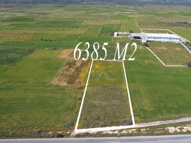 5 Decares of Land with Turkish Heads for Sale in Famagusta Gönendere Region, Suitable for Investment