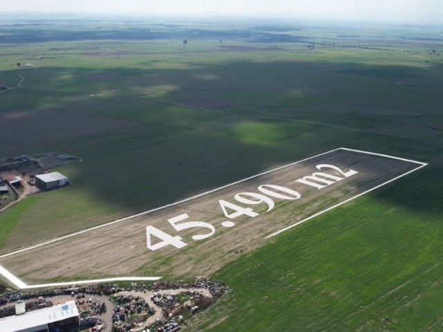 45.490 m2 Grundstück zum Verkauf in Zypern, Region Nikosia Düzova, Kapitel 96, Zoneneinteilung