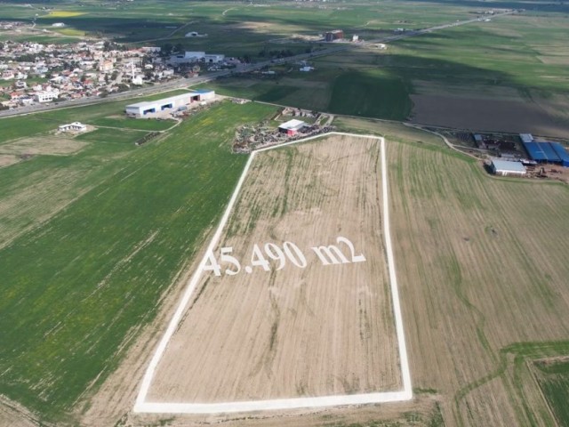 مسکونی و تجاری برای فروش in Düzova, نیکوزیا