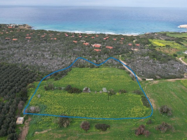 Land for Sale in İskele Yeni Erenköy Area, 100 Meters from the Sea