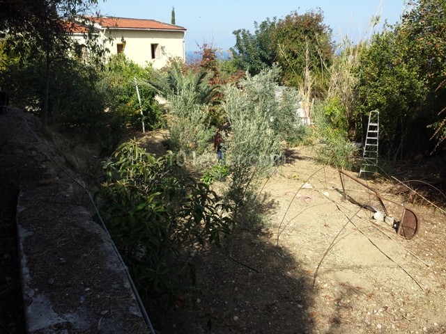 Einfamilienhaus Kaufen in Lapta, Kyrenia