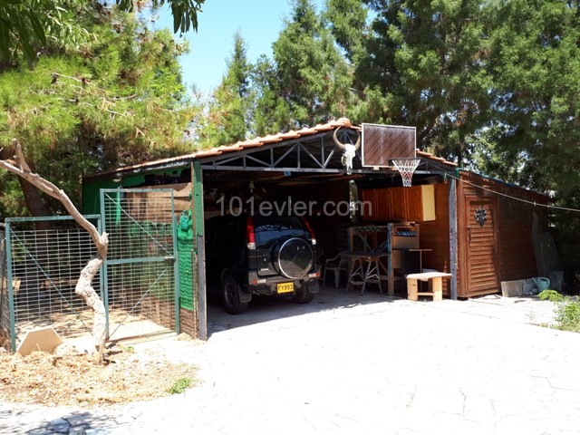 Bungalow Kaufen in Çatalköy, Kyrenia