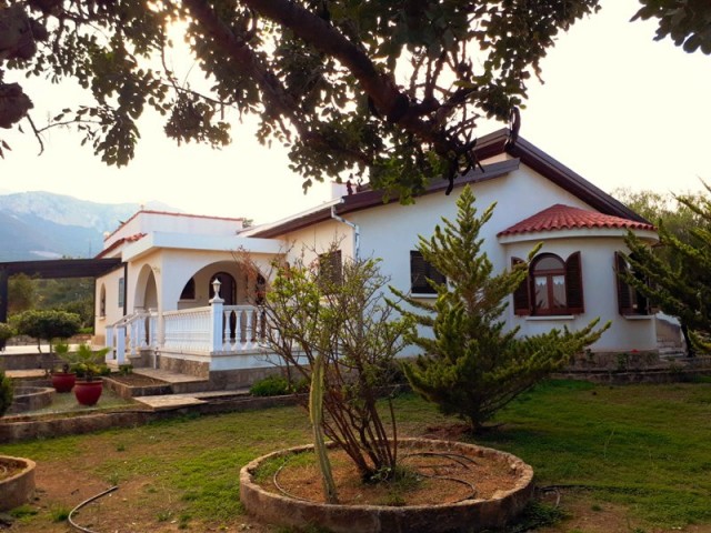 Classic bungalow on 2 donums land