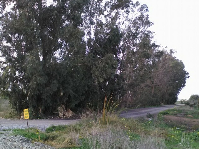 منطقه مسکونی برای فروش in Gaziveren, لفکه