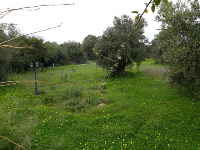 نیمه جدا برای فروش in Karaoğlanoğlu, گیرنه