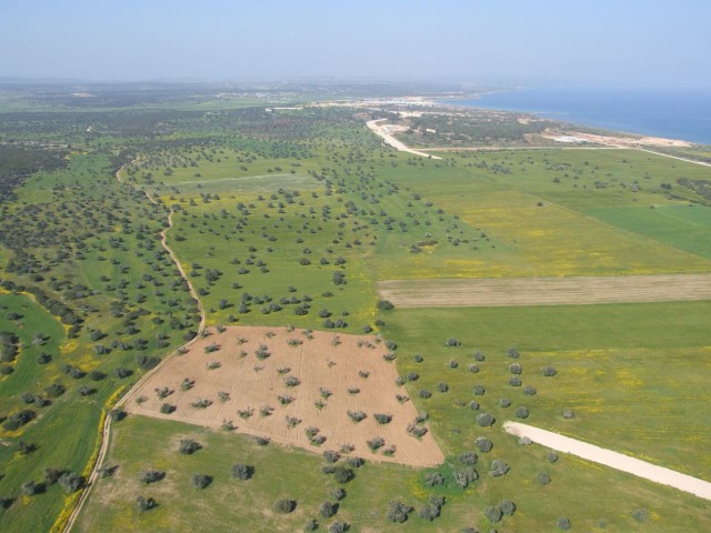 BAFRA – TOTALLY TOTAL 29,436 SQUARE METERS 168 PCS 3+1 FLAT PROJECT LAND ***£1.500.000***