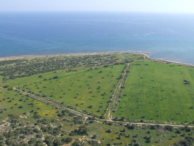 BAFRA – TOTALLY TOTAL 29,436 SQUARE METERS 168 PCS 3+1 FLAT PROJECT LAND ***£1.500.000***