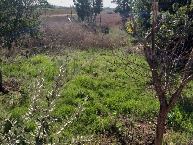 LAND FOR SALE IN YENI BOĞAZICI 1326 m2 ***£150.000***