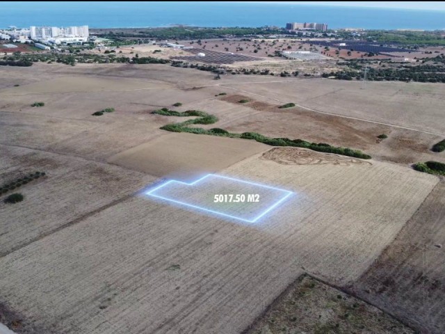 BAFRA    3 DONUM 3 EVLEK ( 5017 M2 )       ***£29.000 STG PER DONUM ***     LAND FOR SALE