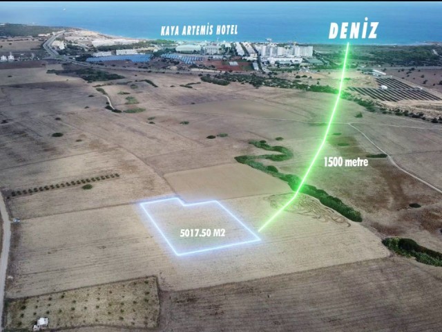 BAFRA    3 DONUM 3 EVLEK ( 5017 M2 )       ***£29.000 STG PER DONUM ***     LAND FOR SALE