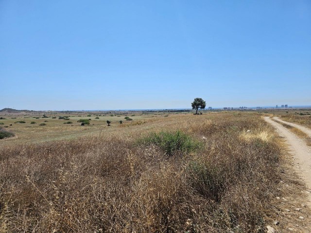 İSKELE    7 DONUM 3 EVLEK ( 10369 M2 )       ***£7.000 STG PER DONUM ***        LAND FOR SALE