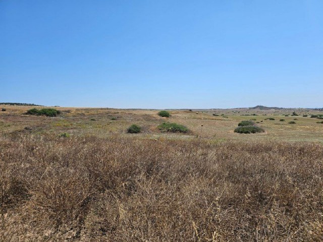 İSKELE    7 DONUM 3 EVLEK ( 10369 M2 )       ***£7.000 STG PER DONUM ***        LAND FOR SALE