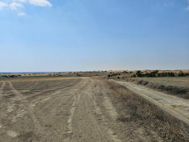 LAND FOR SALE ZEYBEKKOY 28 DONUM (37464 Square Meters)  PER DONUM 27.500 STG