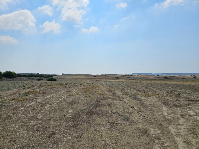 LAND FOR SALE ZEYBEKKOY 28 DONUM (37464 Square Meters)  PER DONUM 27.500 STG