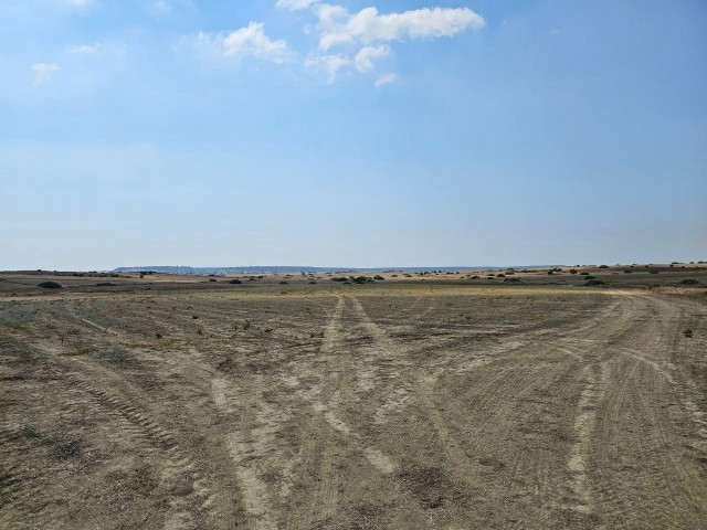 LAND FOR SALE ZEYBEKKOY 28 DONUM (37464 Square Meters)  PER DONUM 27.500 STG