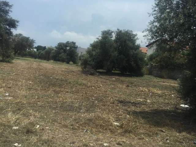 3 decares of land for sale on the Kırne-Çatalköy highway in Cyprus ** 