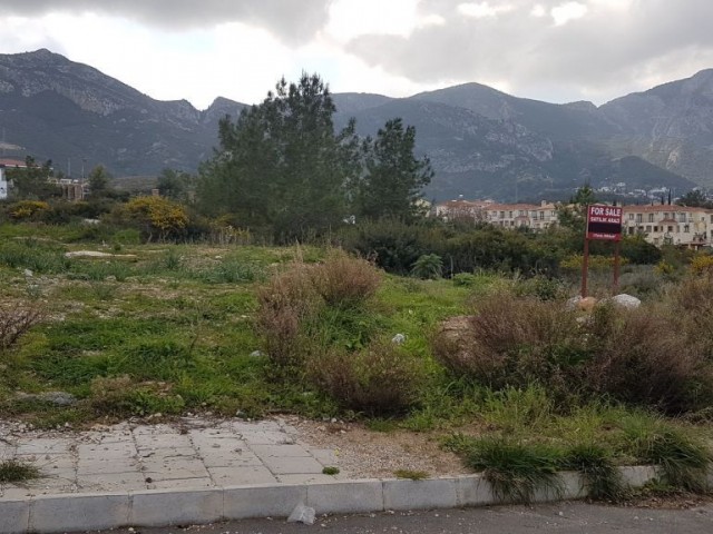 Land for sale near Ozankoy road (Kyrenia district)