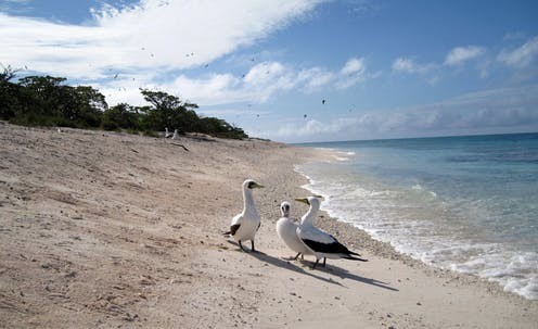 FRO SALE SEAFRONT LAND IN KYRENIA