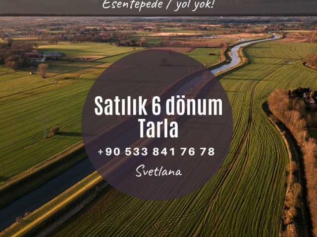 6 Donum Field for sale ın Esentepe